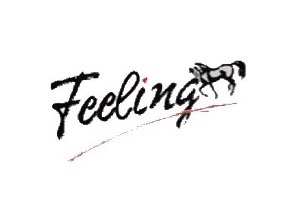 Feeling